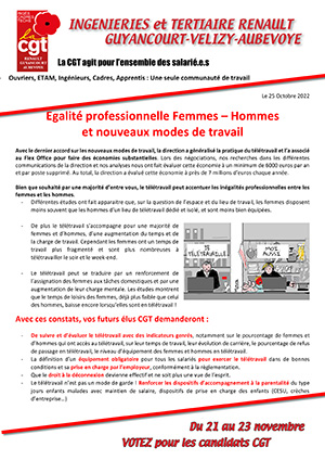 tcr12 221025 Egalite professionnelle teletravail